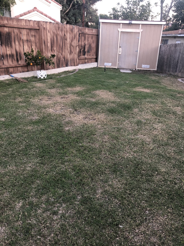 64126FC6-48EB-49E9-8FA9-AC7C276D1945