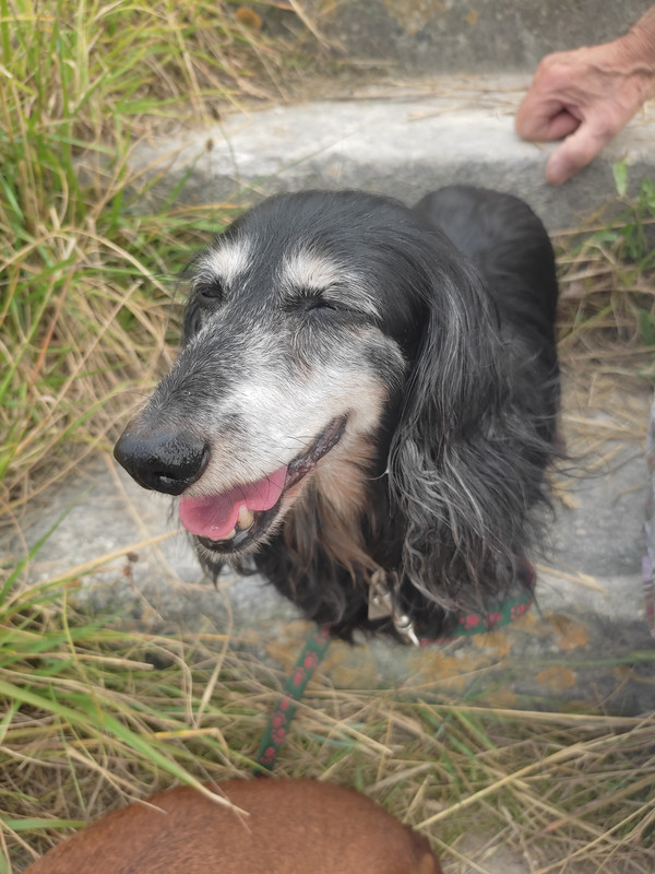 [Image: IMG-20240720-185738.jpg]