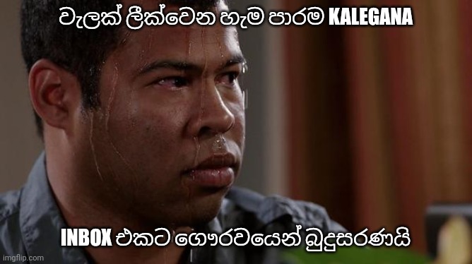 download-2.jpg
