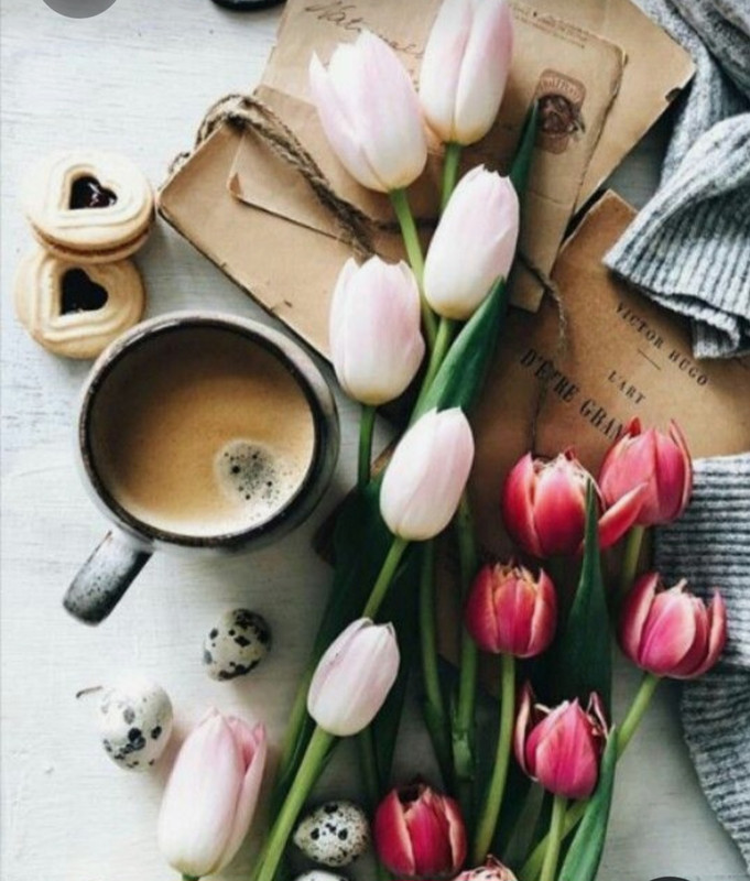 Screenshot_20230330_003716_Pinterest