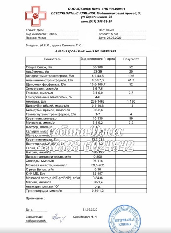 0E61D5A2-2622-4C15-AD4F-64A838A6905F