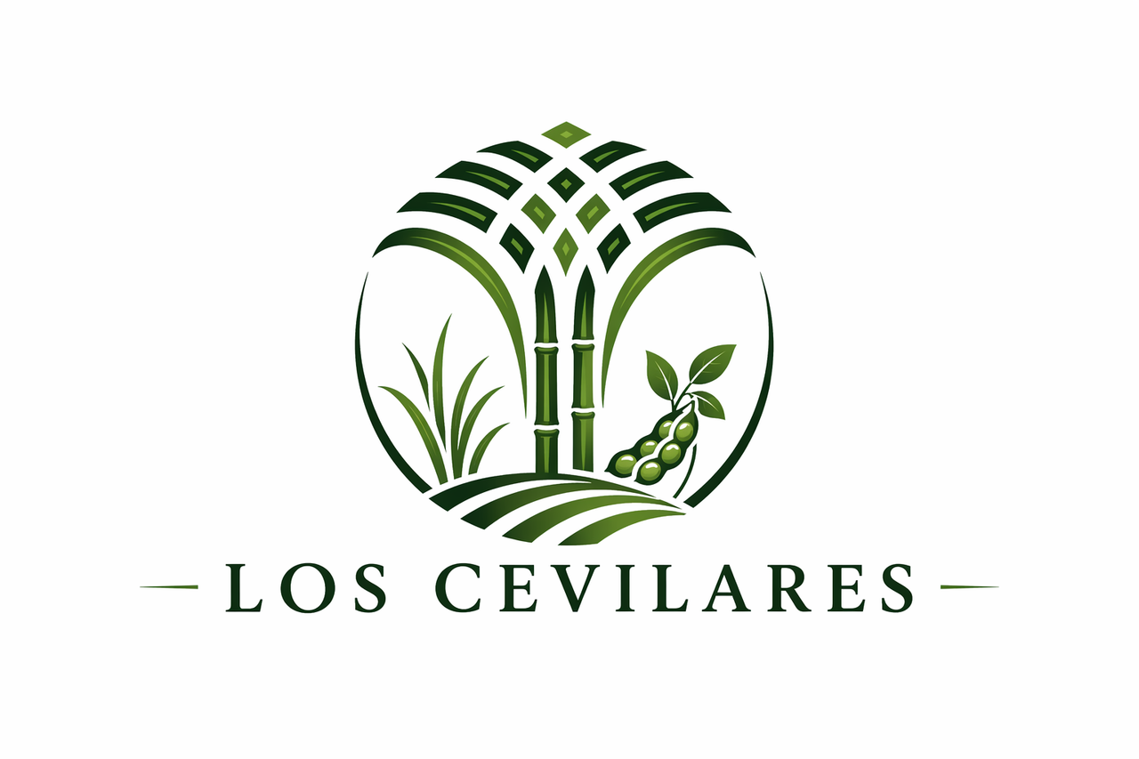 Chat GPT Image 20 abr 2026 10 17 59 a m