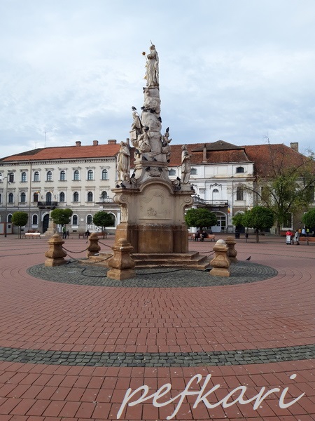 Slika