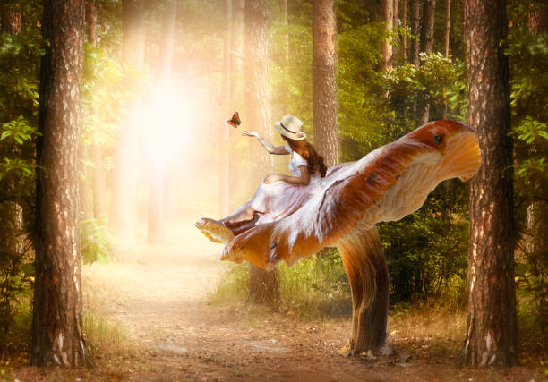 istockphoto-1435919388-612x612.jpg
