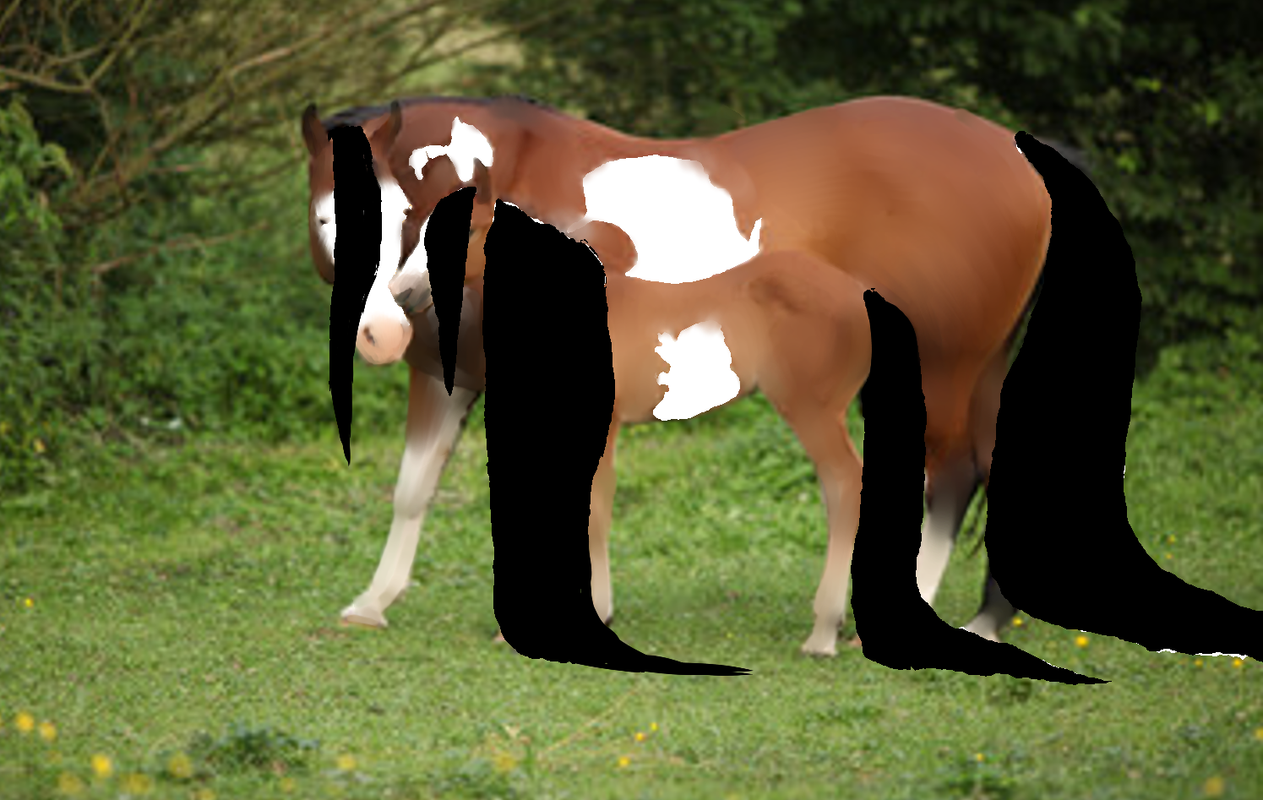 Mare-Foal-Progress-Report.png