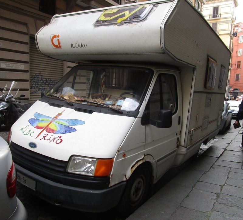 IMG-6599.jpg