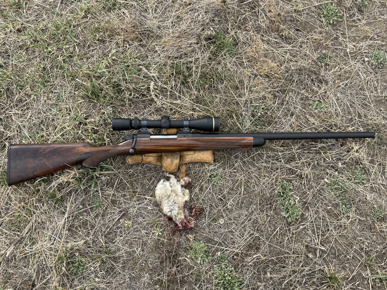 [Linked Image from i.postimg.cc]