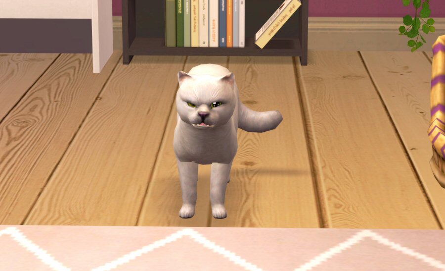 Sims2-EP9-RPC-2021-04-03-14-16-49-69