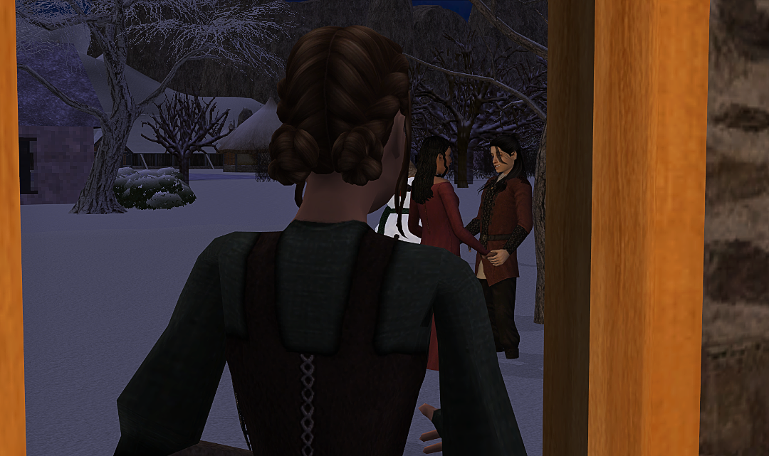 screenshot_2026_01_17_21_23