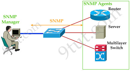 SNMP Components - Snmp  Network Management And Monitoring