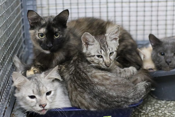 4DF00358-730C-4893-9432-31EFD31EA5EB