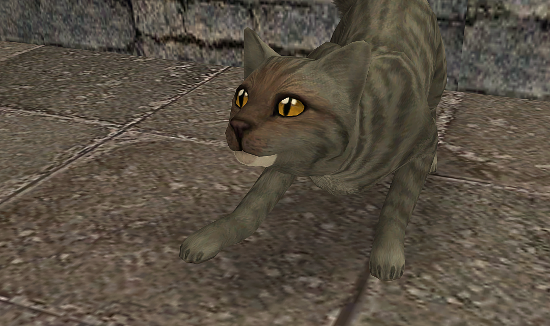 screenshot-2026-09-06-19-06-1