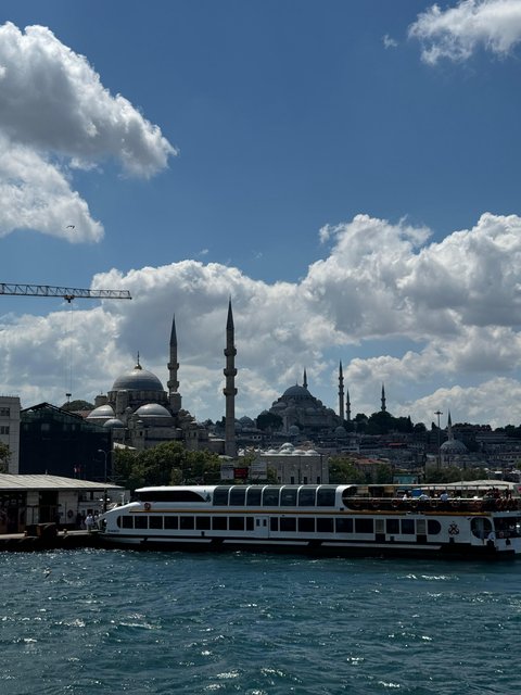 6 Aviones, 3 barcos y 2 trenes, empezando en Estambul y terminando Kuala Lump - Blogs de Indonesia - PRIMERA PARADA: ESTAMBUL (68)