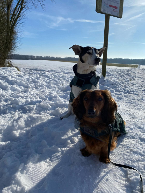 [Image: IMG-20240228-WA0027.jpg]