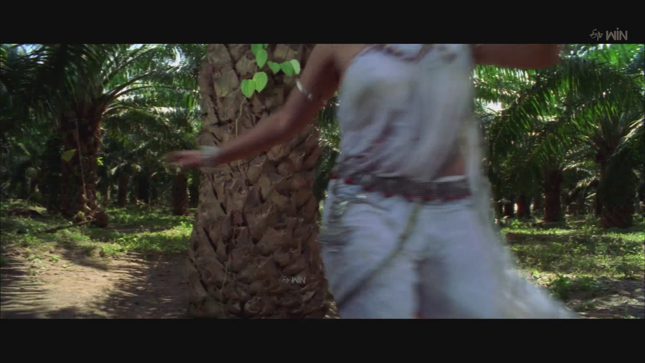 vlcsnap-2025-08-17-09h11m39s027