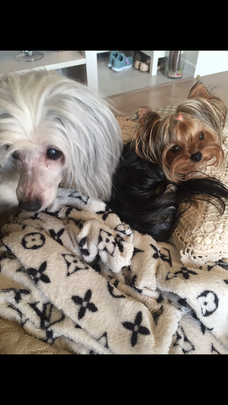 FA0E3640-23CF-4D8C-8F13-5400EECE8497