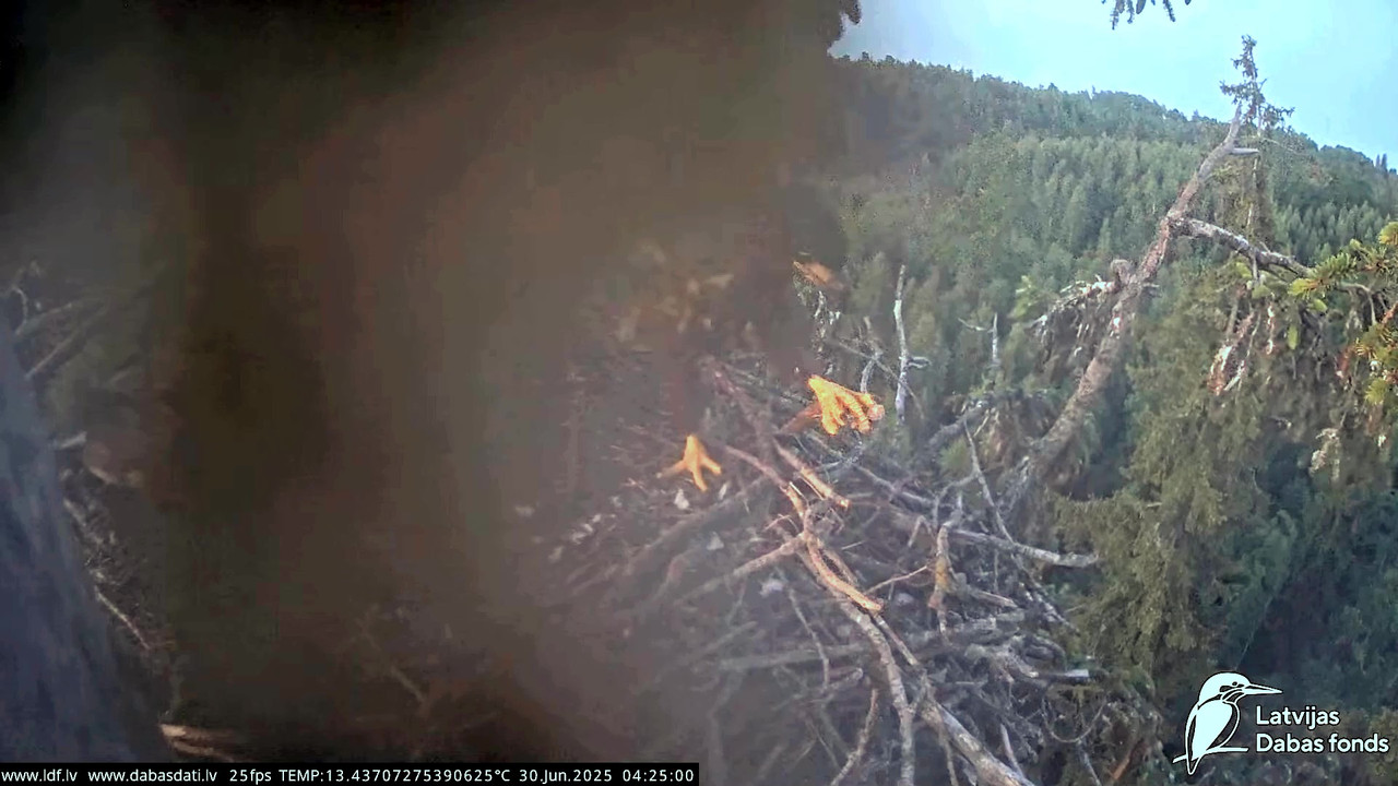 vlcsnap-2025-06-30-04h48m33s978