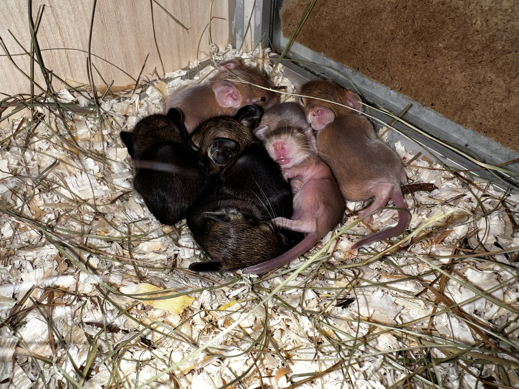 2F8304C9-6C68-4D3F-A8F8-54B6EBF9002B