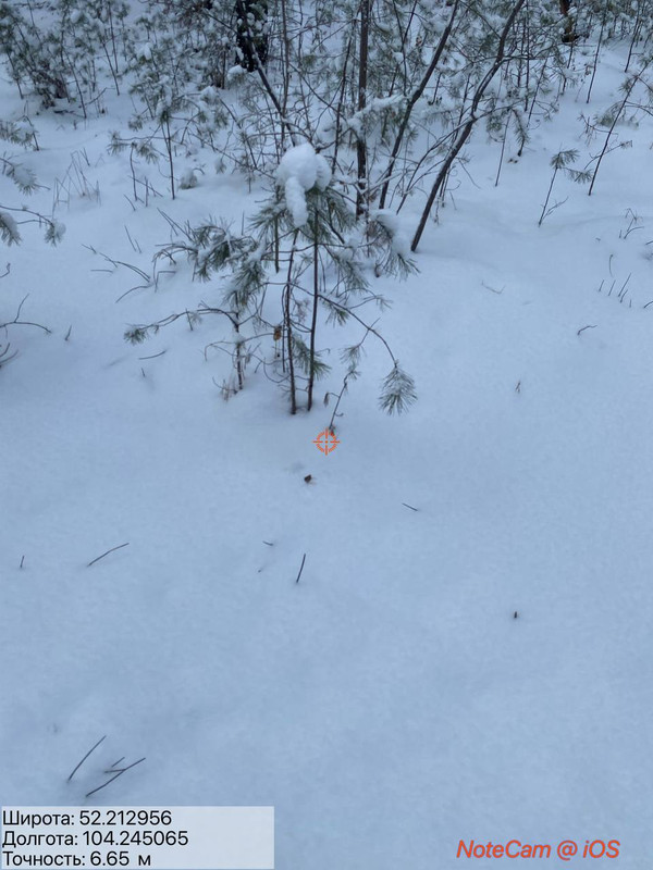 IMG 20251203 115709 349