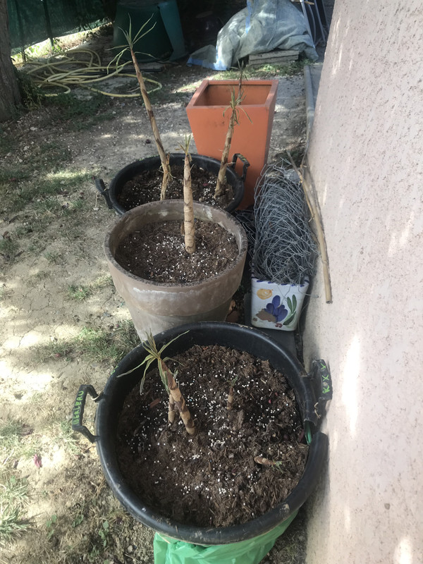 5273563D-45AA-415A-8ED3-BC5D1E4D9633