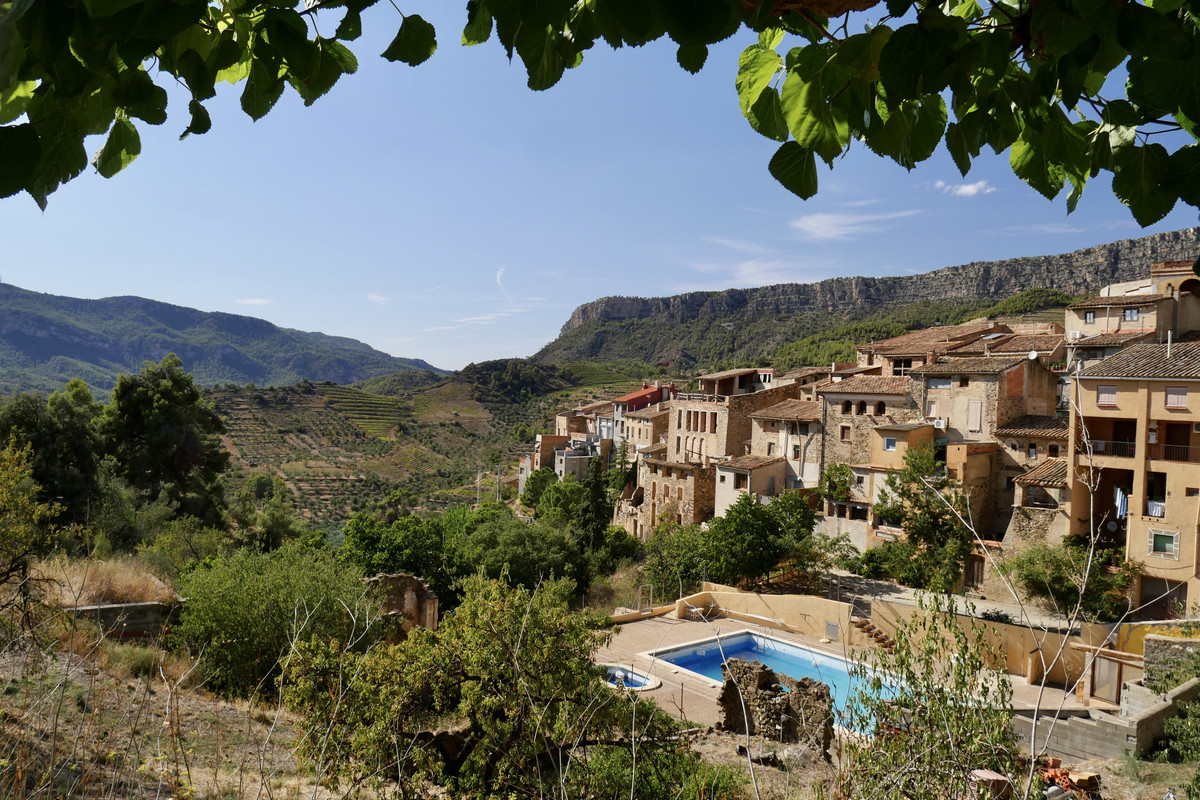 A2EAFAAB-CED3-4C7F-964E-ECEA68D1F830