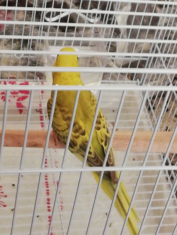 IMG_٢?١٨١٢?٢_١٢٥٩١٣