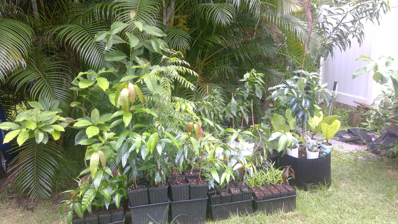 WIN_20190802_13_26_39_Pro