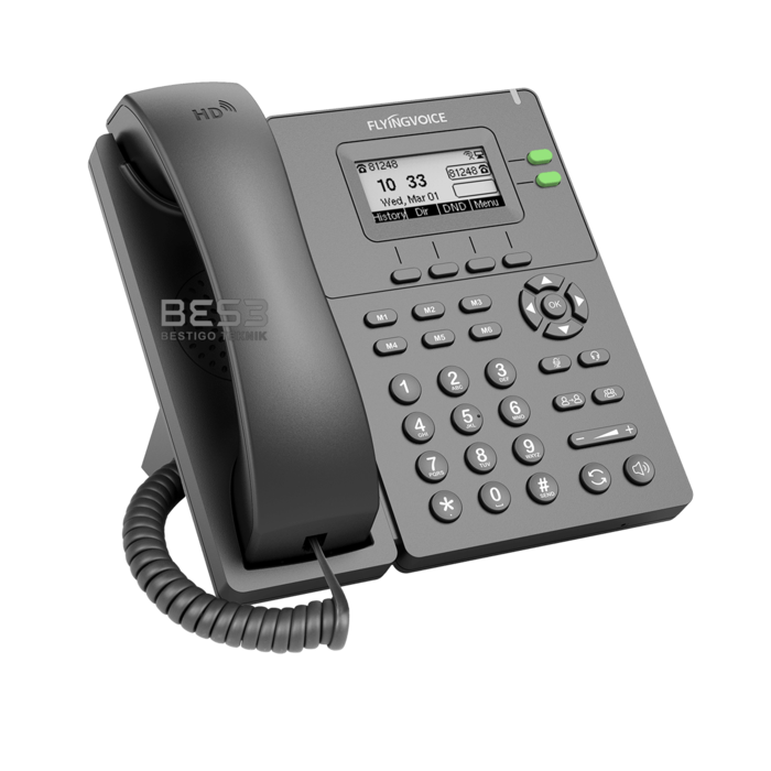 IP Phone FlyingVoice P20