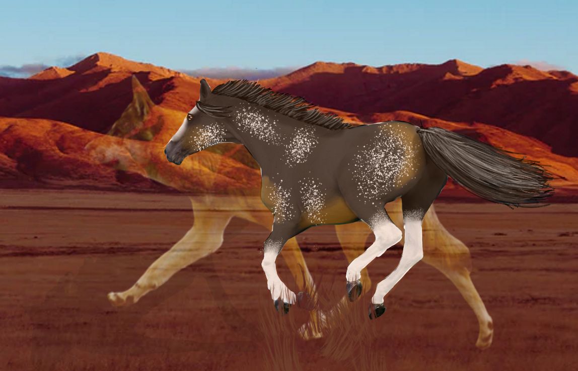 Coyoty.jpg