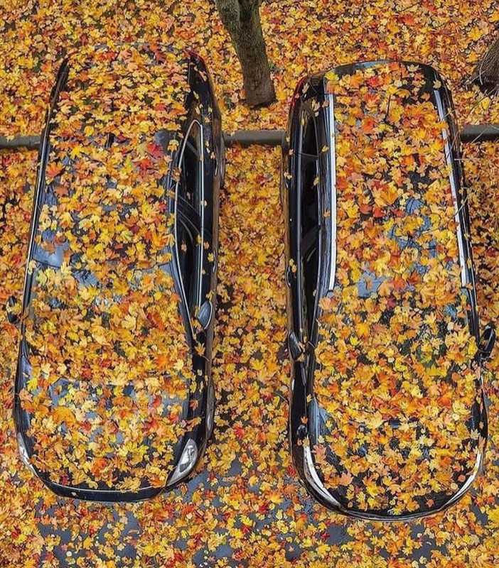 Screenshot_20231117_225054_Instagram