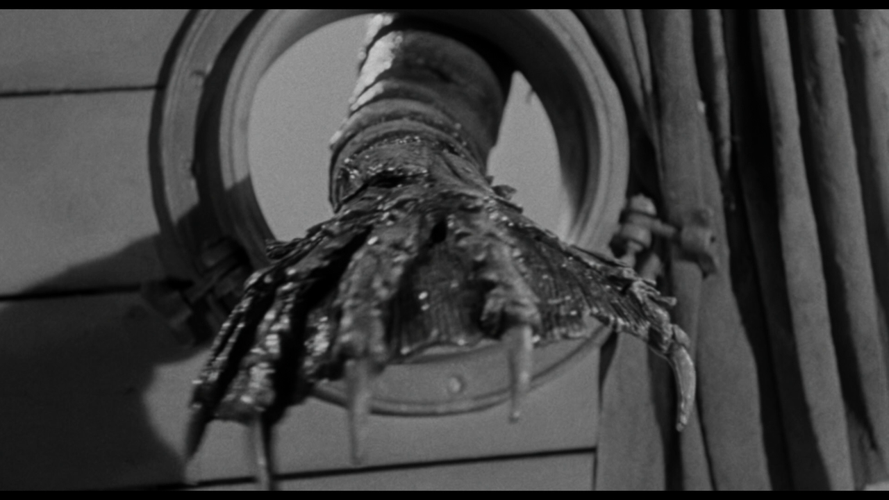 vlcsnap-2024-01-01-22h31m45s484