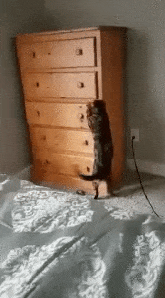bxx-GRJg.gif