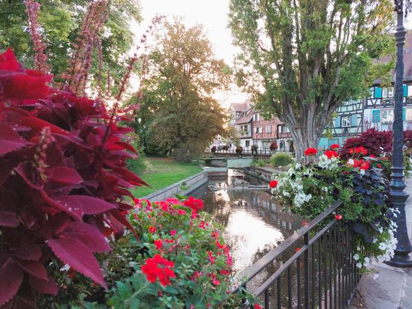 Slika