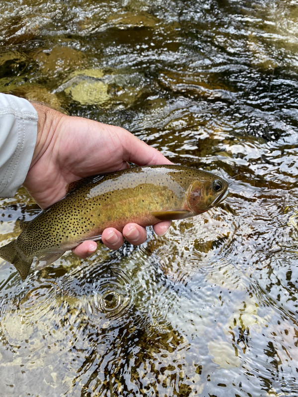 457700E6-6615-4E2B-BFBF-5CDCB81AF877