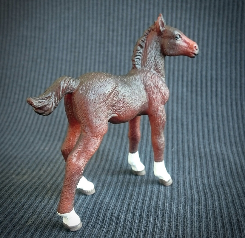 Mojo 2020 - 3 lovely  foals 20200627-112339