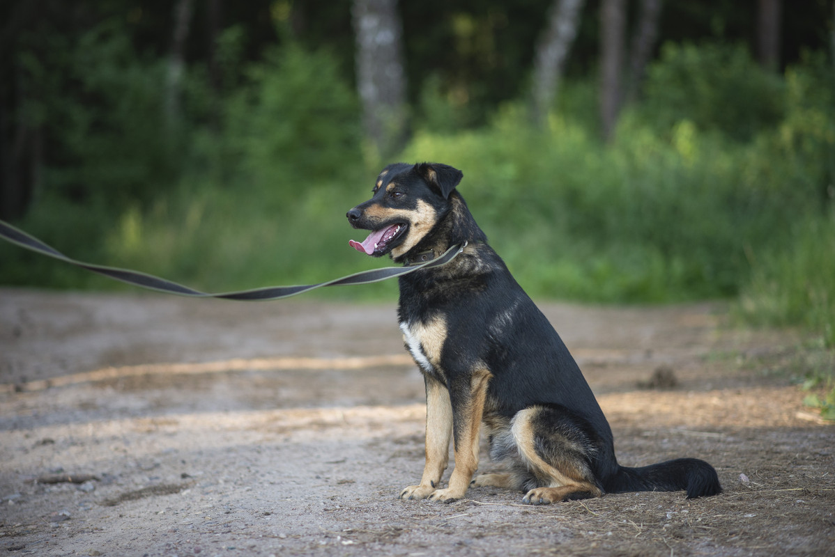 610_1186_могилев