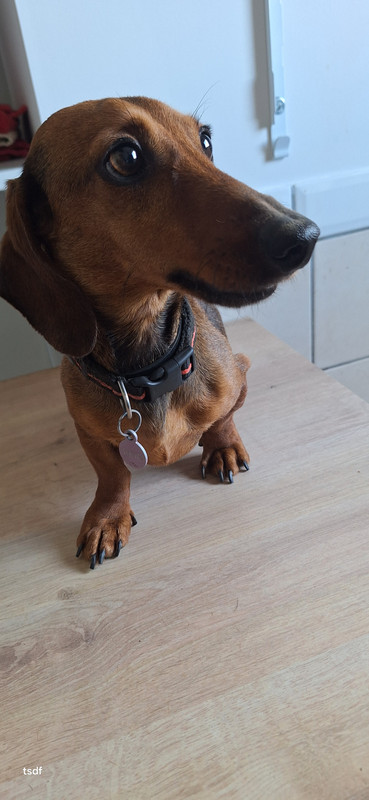 [Image: 20250901-140943.jpg]