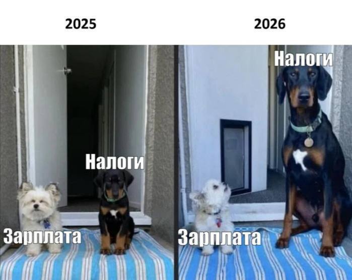 n-Sqn3ycz4q-Vpi-EBnkty-KA9g8Lwy03e-Xp-Ci