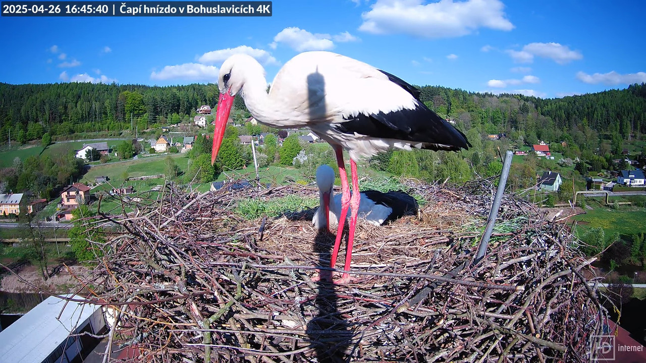 Tiešraidē no uzņēmuma KARA stārķa skursteņa Bohuslavicē pie Trutnovas 12-21-36 screenshot