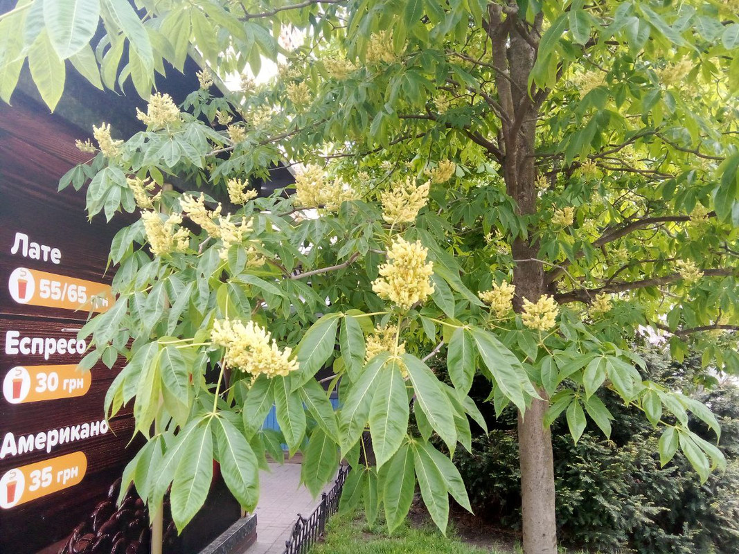 photo_2025-05-01 7.34.40 пп