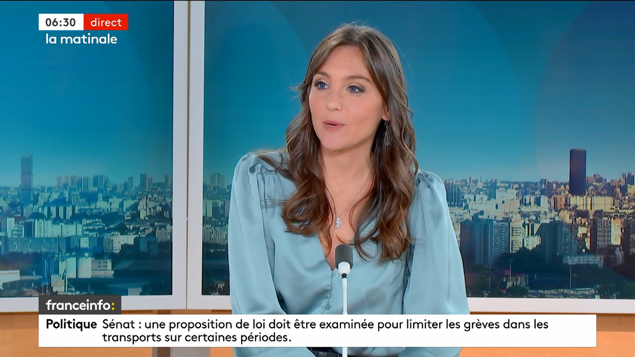 La matinale (Franceinfo)_2024_04_09_05_24_99.ts_snapshot_06.43.975