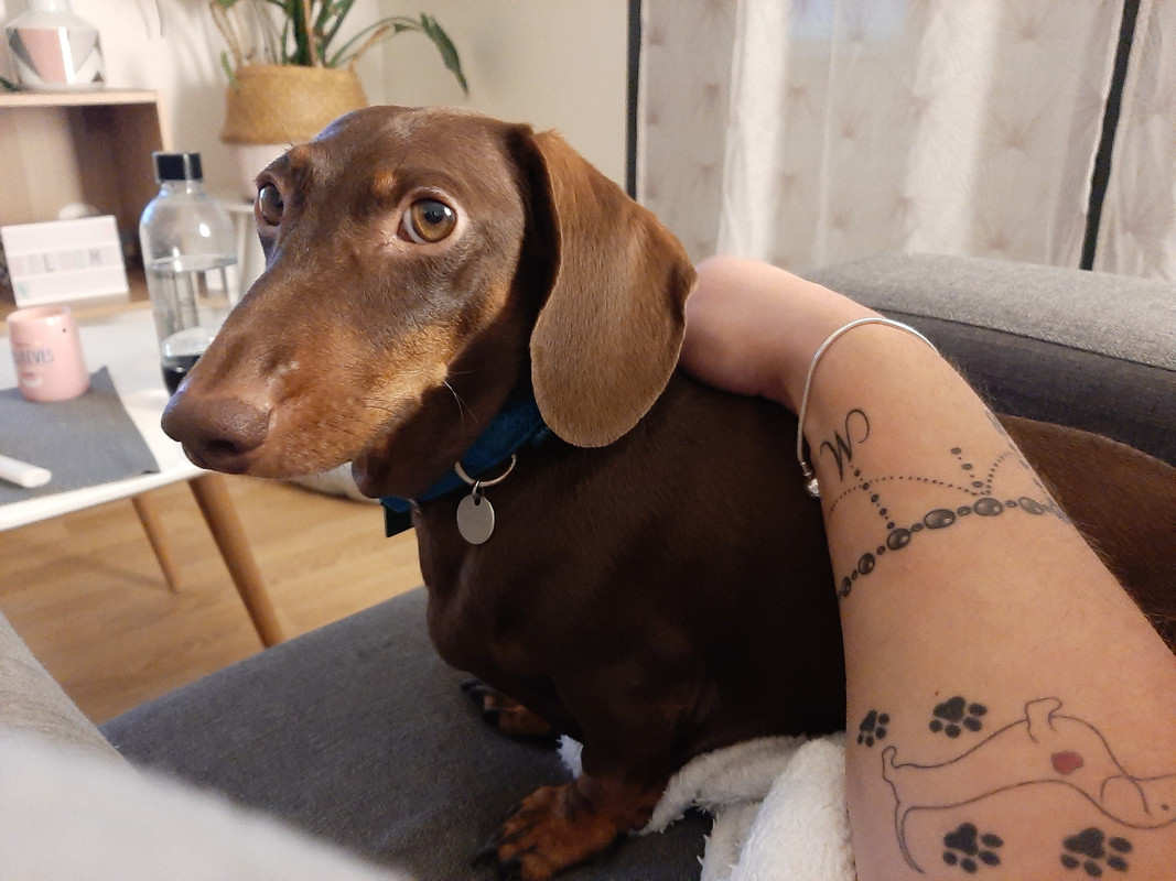 [Image: 20201120-191132.jpg]