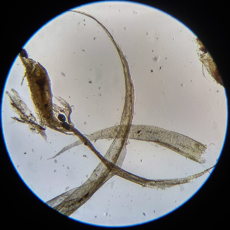 IMG 20250614 122023 HDR