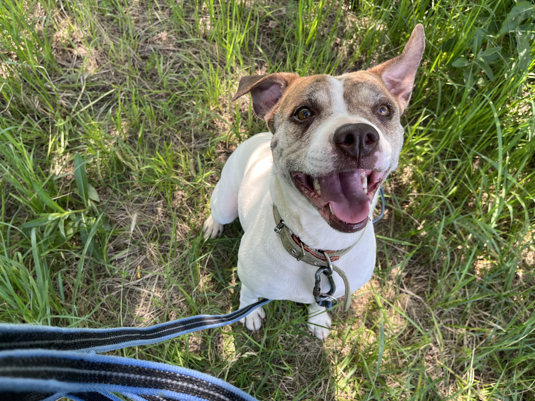 553B88C4-9DA2-4E02-8853-5B7F2ACD0975