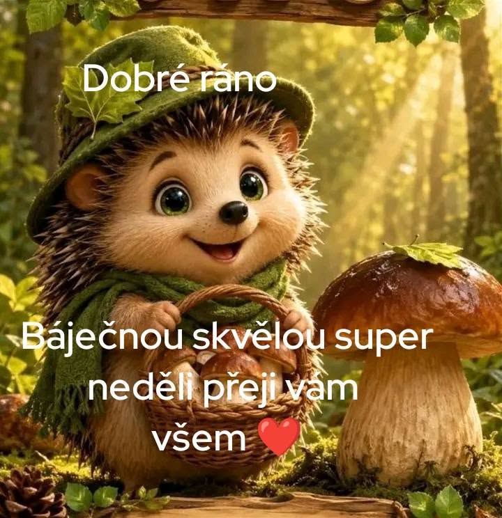 798744003-2306844373398218-4060567104744094524-n