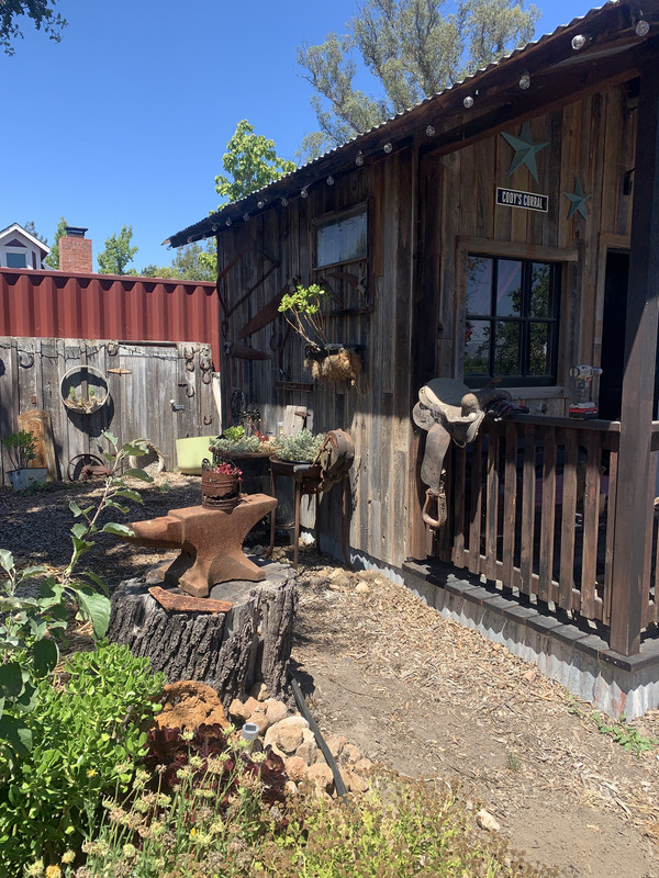 0EAF36B1-DCEE-4776-867E-649FA9224F74