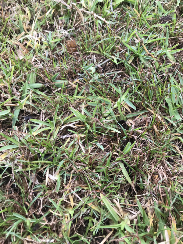 8A1927B0-CEDF-4947-BCBF-8FE757F6D325