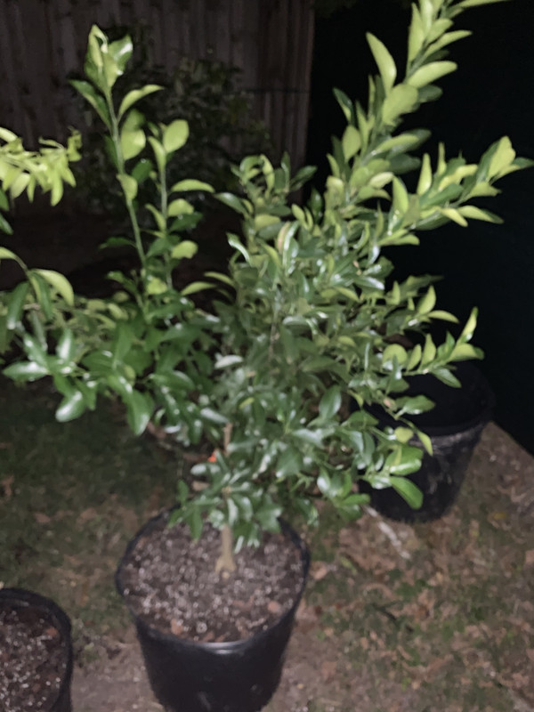 9233A071-DE11-4FC5-8B3D-23344F772E05