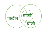 Venn Diagram Explanation