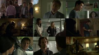 41093942991695214919